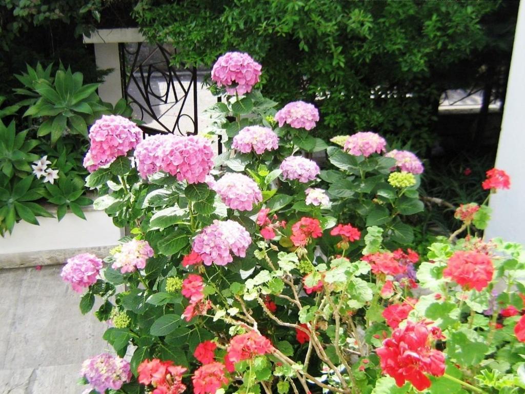 B&B Il Giardino Di Villa Anna Trecase Exteriör bild