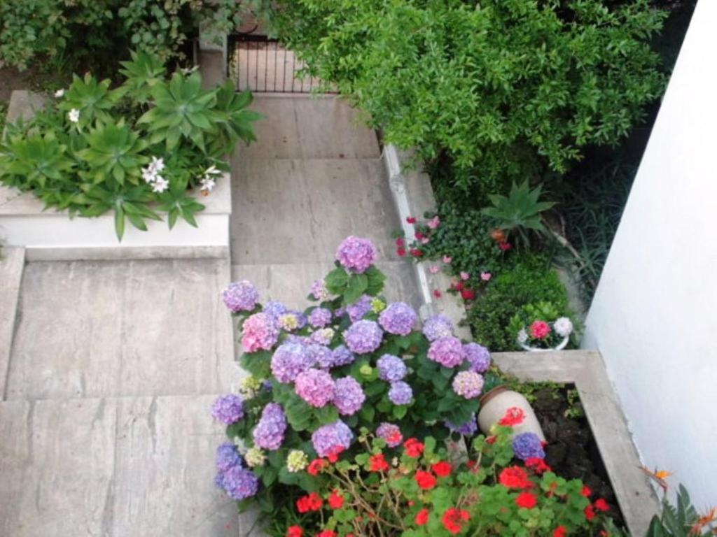 B&B Il Giardino Di Villa Anna Trecase Exteriör bild