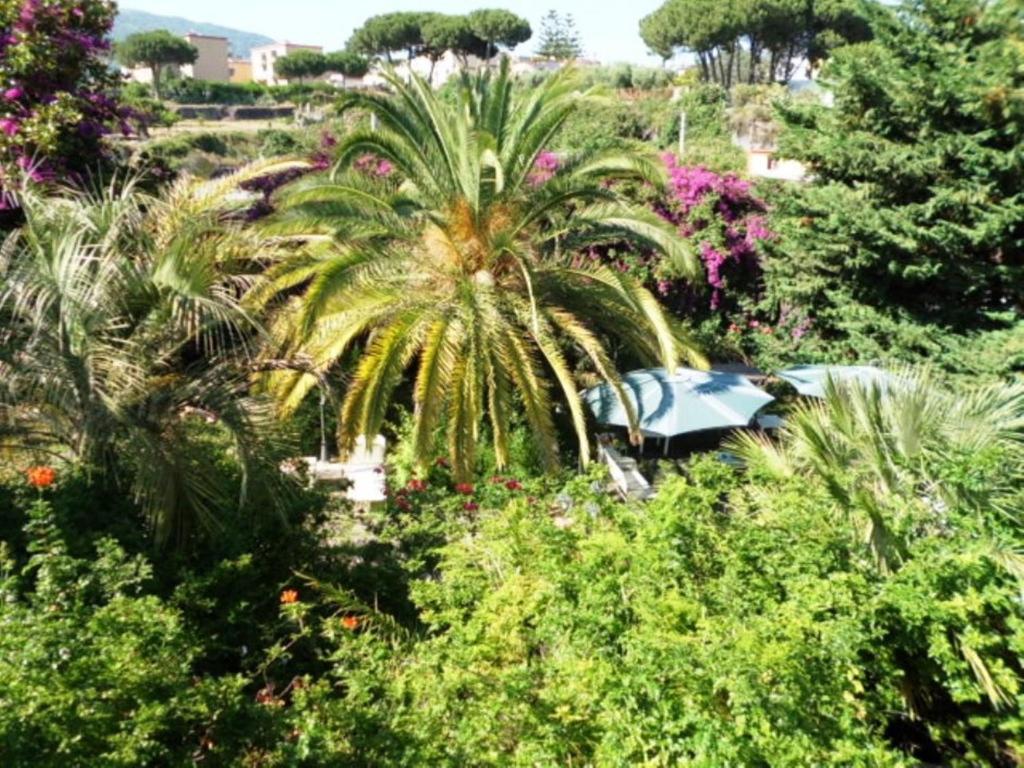 B&B Il Giardino Di Villa Anna Trecase Exteriör bild