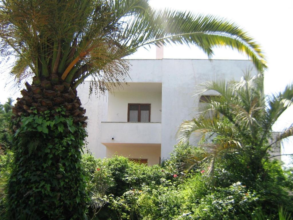 B&B Il Giardino Di Villa Anna Trecase Exteriör bild