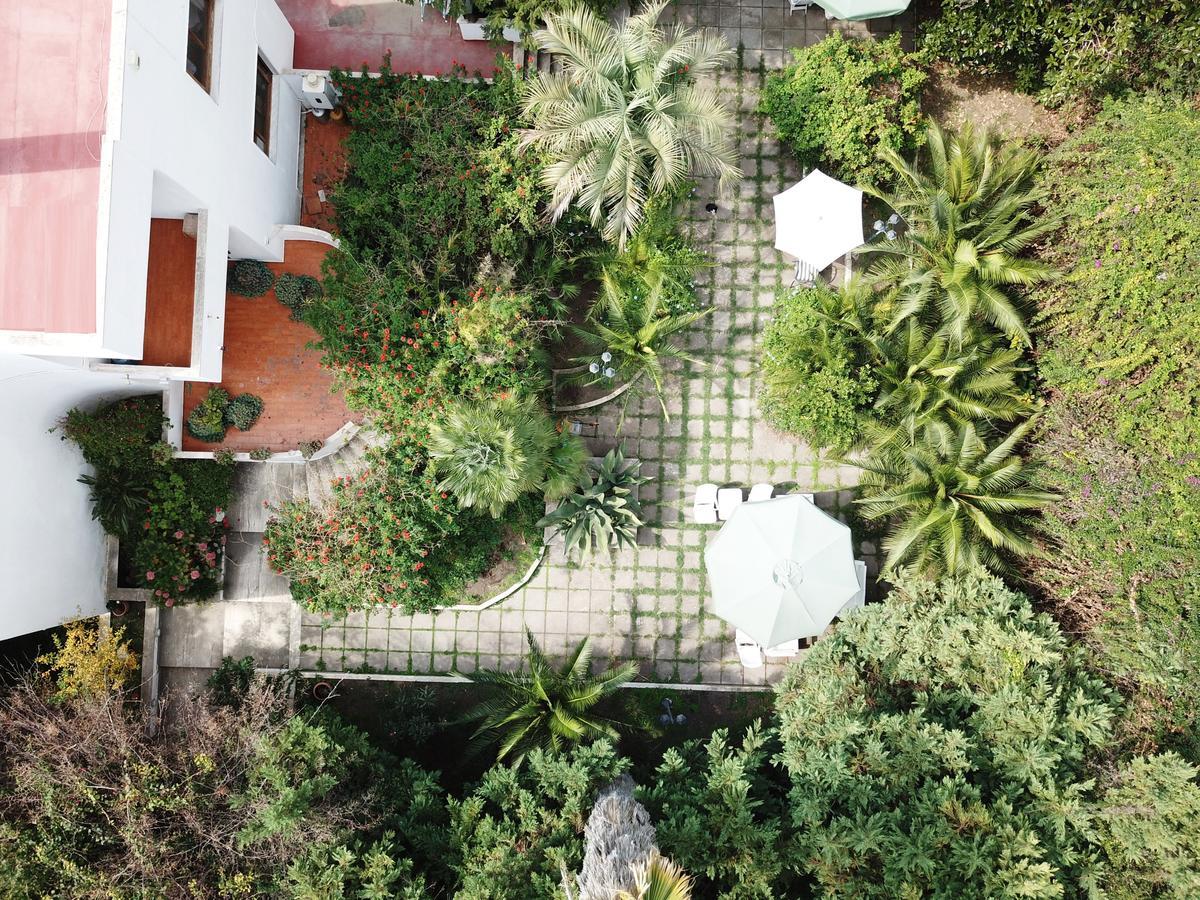B&B Il Giardino Di Villa Anna Trecase Exteriör bild