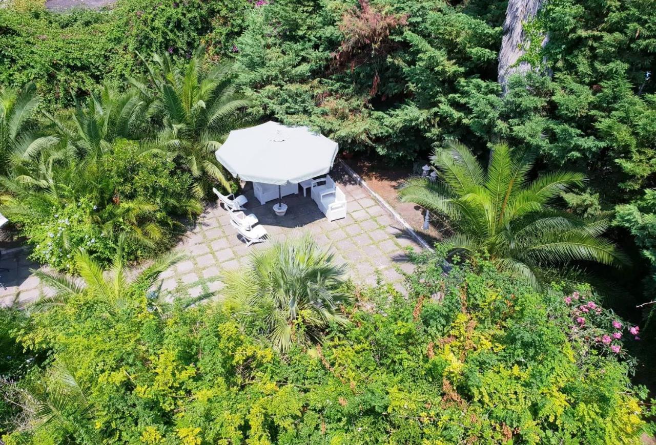 B&B Il Giardino Di Villa Anna Trecase Exteriör bild