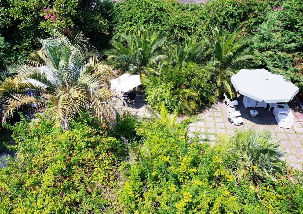 B&B Il Giardino Di Villa Anna Trecase Exteriör bild