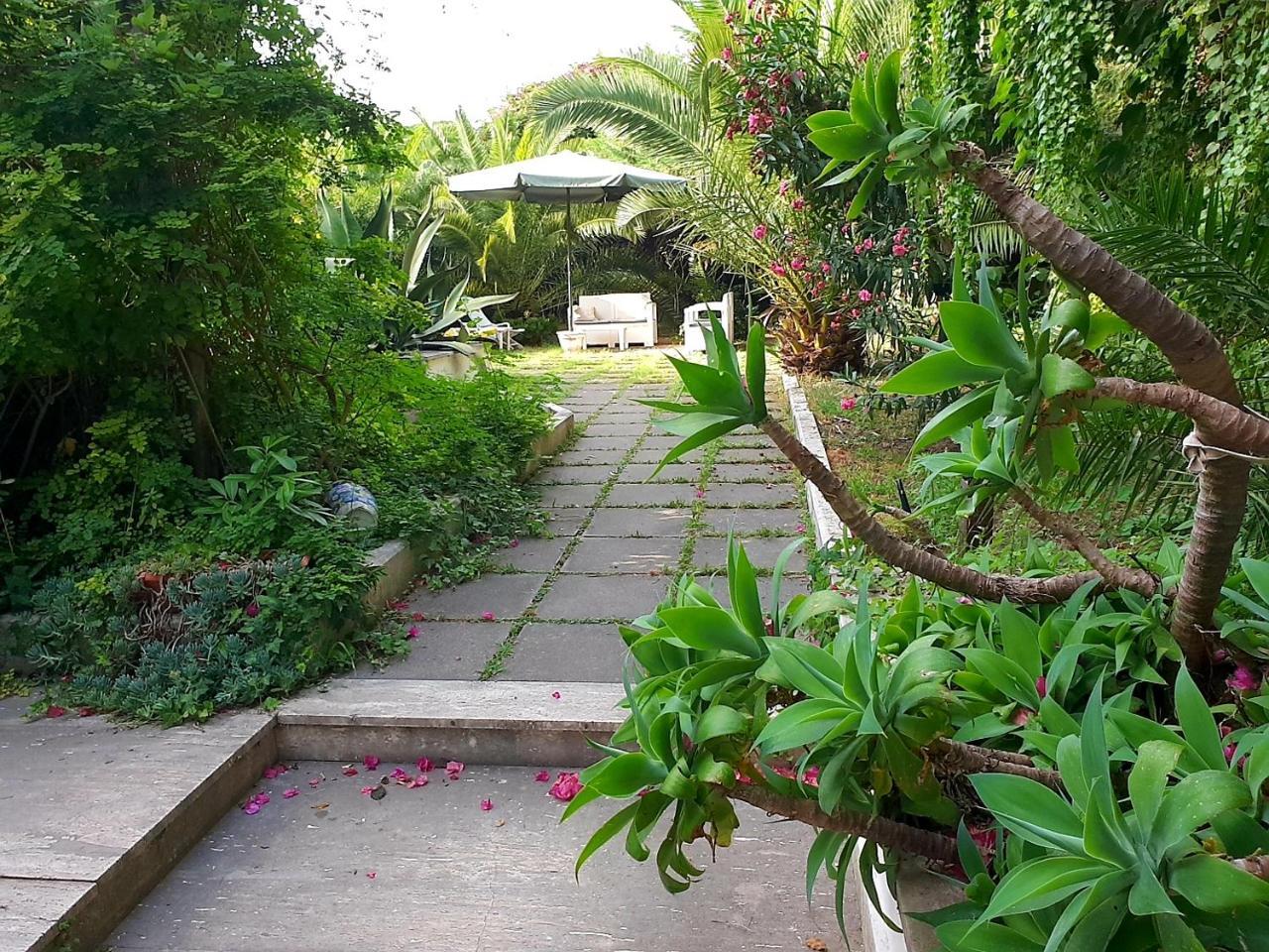 B&B Il Giardino Di Villa Anna Trecase Exteriör bild
