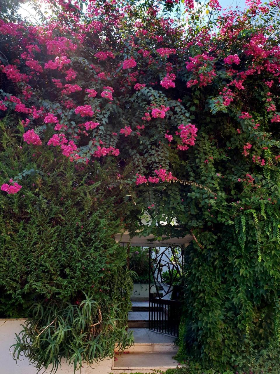 B&B Il Giardino Di Villa Anna Trecase Exteriör bild