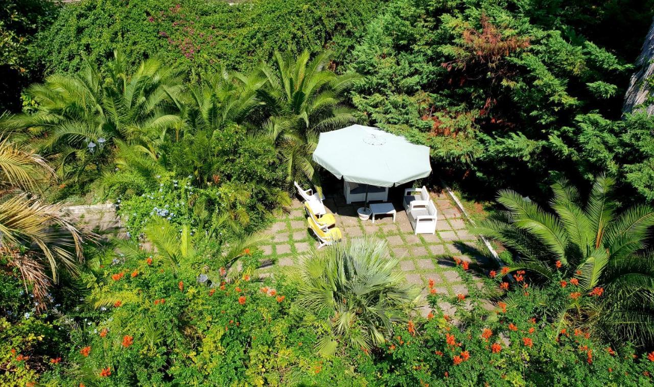 B&B Il Giardino Di Villa Anna Trecase Exteriör bild